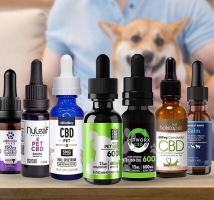 CBD Products for Pets