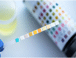 Drug Testing Services