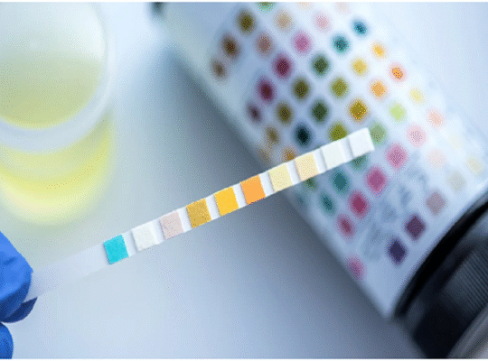 Drug Testing Services