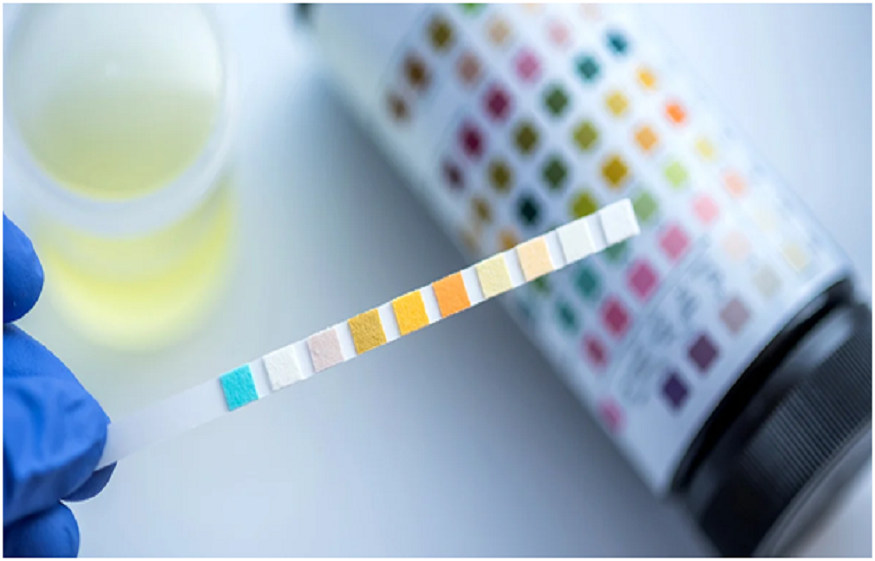 Drug Testing Services